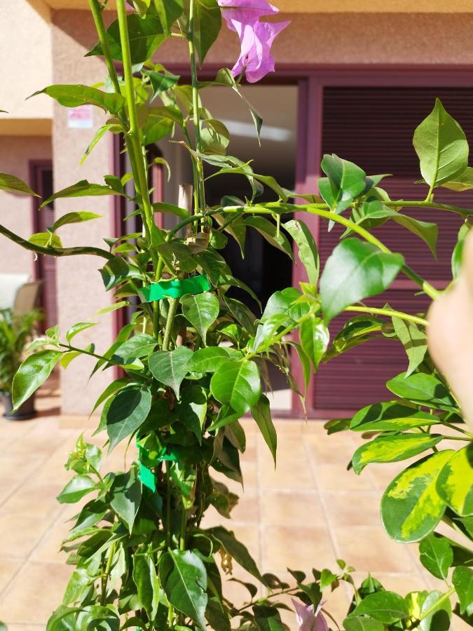 Vivienda Vacacional Compartida Radazul Bed & Breakfast ภายนอก รูปภาพ